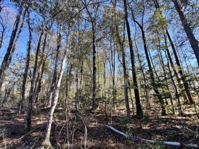 (private lake, pond, coastal) Acreage For Sale in Deer Park Alabama