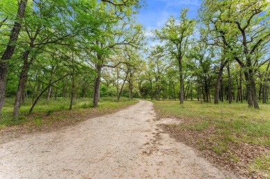 Private road frontage, abundant wildlife & endless - Lake Acreage For Sale in Groesbeck, Texas