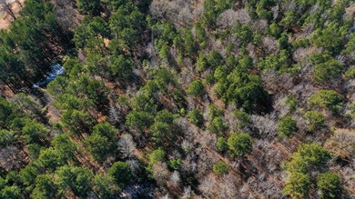 Dream Acreage - Private, Wooded, and Ready for Your Vision - photo 11