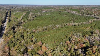 Price Reduction! 118.08 surveyed acres on the Barbour East Ridge - photo 11