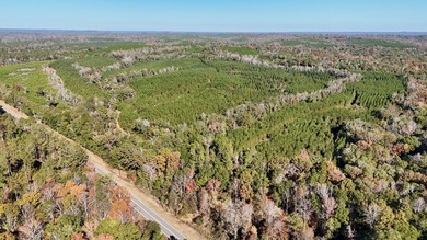 Price Reduction! 118.08 surveyed acres on the Barbour East Ridge - photo 12