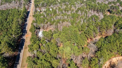 Dream Acreage - Private, Wooded, and Ready for Your Vision - photo 13