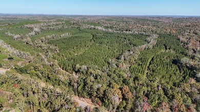 Price Reduction! 118.08 surveyed acres on the Barbour East Ridge - photo 13
