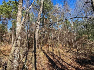 Dream Acreage - Private, Wooded, and Ready for Your Vision - photo 14