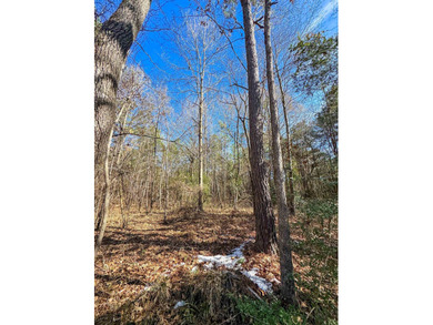 Dream Acreage - Private, Wooded, and Ready for Your Vision - photo 15