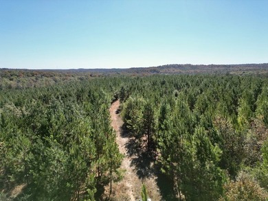 Price Reduction! 118.08 surveyed acres on the Barbour East Ridge - photo 15