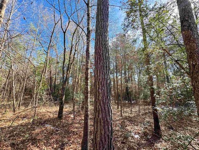 Dream Acreage - Private, Wooded, and Ready for Your Vision - photo 16