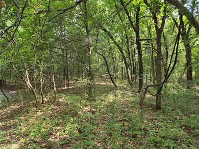 Escape the hustle and discover Mother Nature at her finest with - photo 16