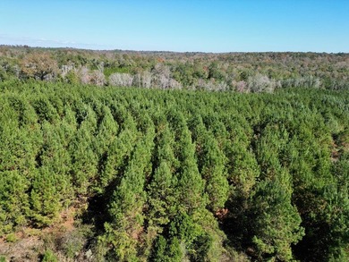 Price Reduction! 118.08 surveyed acres on the Barbour East Ridge - photo 16