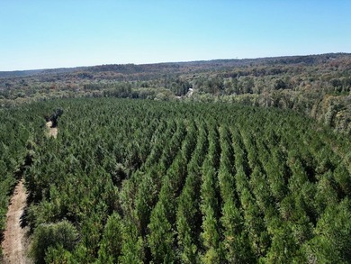 Price Reduction! 118.08 surveyed acres on the Barbour East Ridge - photo 17