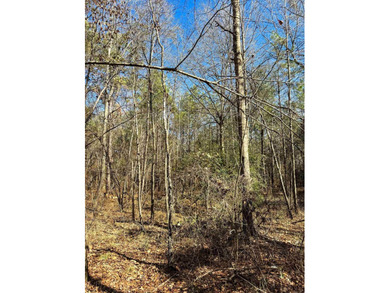 Dream Acreage - Private, Wooded, and Ready for Your Vision - photo 18