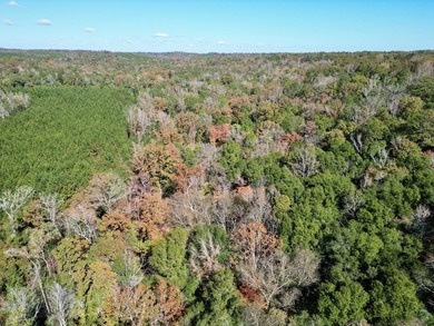 Price Reduction! 118.08 surveyed acres on the Barbour East Ridge - photo 18