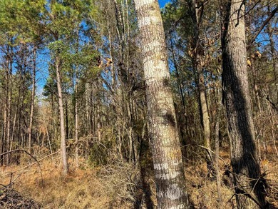 Dream Acreage - Private, Wooded, and Ready for Your Vision - photo 19