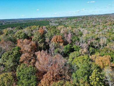 Price Reduction! 118.08 surveyed acres on the Barbour East Ridge - photo 19