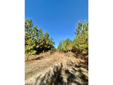 Price Reduction! 118.08 surveyed acres on the Barbour East Ridge - photo 20
