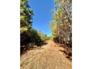 Price Reduction! 118.08 surveyed acres on the Barbour East Ridge - photo 21