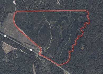 Price Reduction! 118.08 surveyed acres on the Barbour East Ridge - photo 22