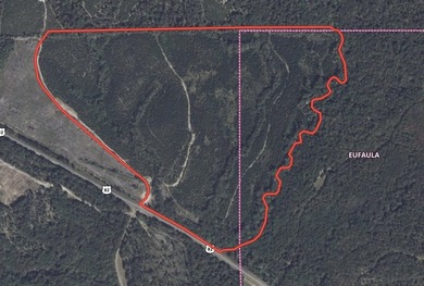 Price Reduction! 118.08 surveyed acres on the Barbour East Ridge - photo 24