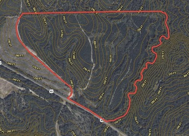 Price Reduction! 118.08 surveyed acres on the Barbour East Ridge - photo 25