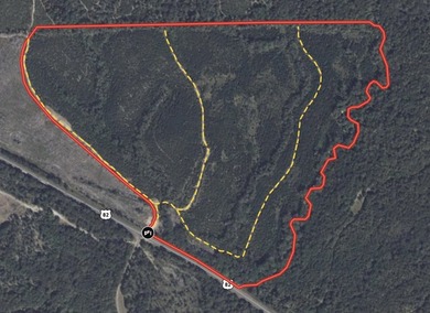Price Reduction! 118.08 surveyed acres on the Barbour East Ridge - photo 27