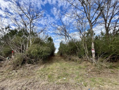 (private lake, pond, coastal) Acreage For Sale in Thomasville Alabama