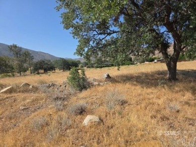 Lake Lot For Sale in Lake Isabella, California
