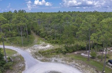 Build your dream home in RiverCamps on Crooked Creek, one of - photo 1