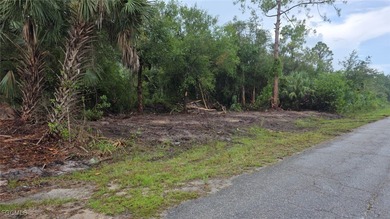 Lehigh Acres Area Lot For Sale in Lehigh Acres Florida