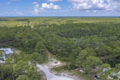 Build your dream home in RiverCamps on Crooked Creek, one of - photo 3