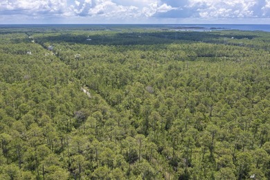 Build your dream home in RiverCamps on Crooked Creek, one of - photo 6