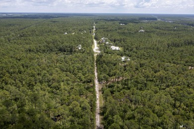 Build your dream home in RiverCamps on Crooked Creek, one of - photo 9