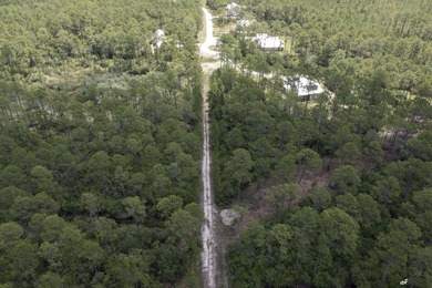 Build your dream home in RiverCamps on Crooked Creek, one of - photo 10