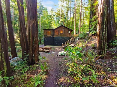 (private lake, pond, coastal) Home For Sale in Occidental California