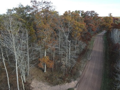 Discover your own north woods paradise on this stunning 5+ acre - photo 3