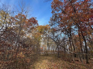 Discover your own north woods paradise on this stunning 5+ acre - photo 6