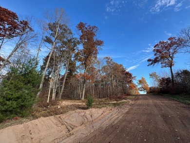 Discover your own north woods paradise on this stunning 5+ acre - photo 7