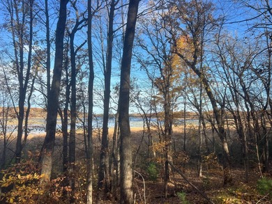 Discover your own north woods paradise on this stunning 5+ acre - photo 8