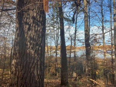 Discover your own north woods paradise on this stunning 5+ acre - photo 9