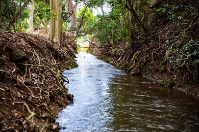 Welcome to one of Waiehu's most compelling properties. This - photo 1