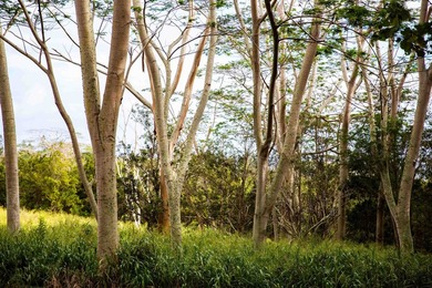 Welcome to one of Waiehu's most compelling properties. This - photo 2