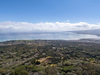 Welcome to one of Waiehu's most compelling properties. This - photo 3