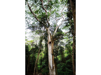 Welcome to one of Waiehu's most compelling properties. This - photo 4