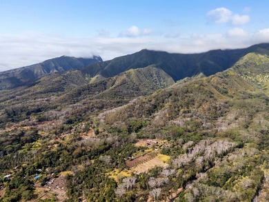 Welcome to one of Waiehu's most compelling properties. This - photo 6