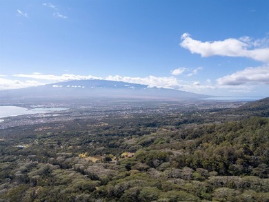 Welcome to one of Waiehu's most compelling properties. This - photo 8