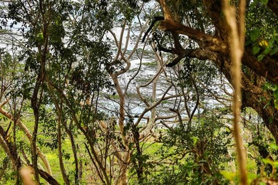 Welcome to one of Waiehu's most compelling properties. This - photo 9