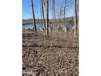Lake Lot For Sale in Andersonville, Tennessee