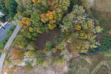 Premier Lake View Lot at Stardust Marina, Norris Lake Discover - photo 4