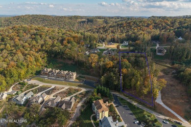Premier Lake View Lot at Stardust Marina, Norris Lake Discover - photo 5