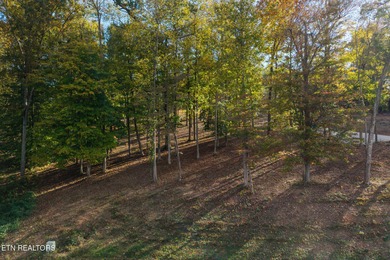 Premier Lake View Lot at Stardust Marina, Norris Lake Discover - photo 6
