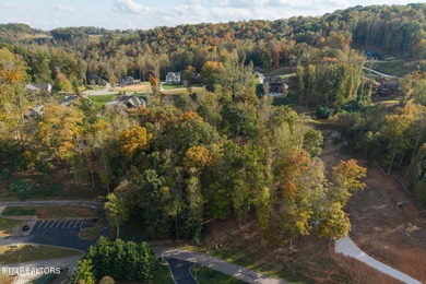 Premier Lake View Lot at Stardust Marina, Norris Lake Discover - photo 7